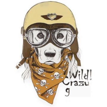 Termodrukas aplikācija Wild Crazy 25*18.7cm