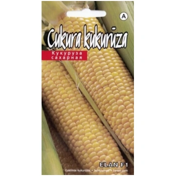 Sēklas Kurzemes sēklas, kukurūza Elan F1, 1 g