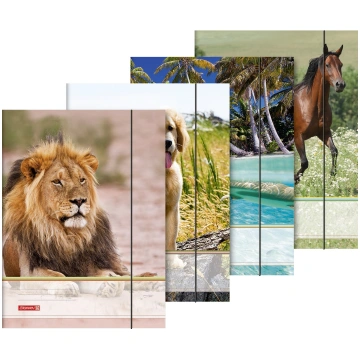 Mape A3 ar gumiju Animals (Suns) - 1047035-dog Bru