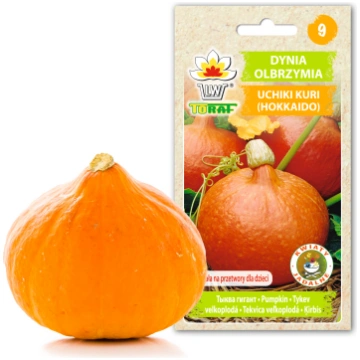 Uchiki Kuri Pumpkin Toraf Vegetable Seeds 5g Pack 