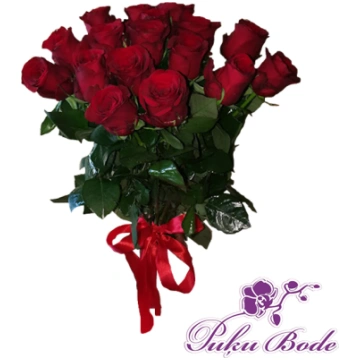 Rozes sarkanas 50cm