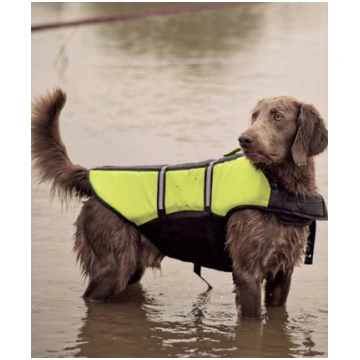 Duvo Plus Dog life jacket, M - peldveste suņiem 08