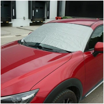 Auto vējstikla sargs, 1 gab. | CC61433 | 590747661