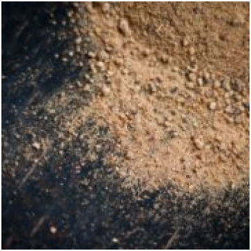 Muskatrieksts (malts)