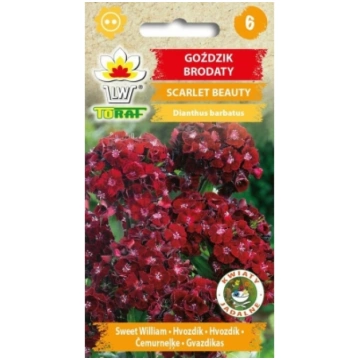 Studentu neļķes Scarlet Beauty 0.5g