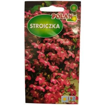 Lobēlijas Ruby sarkanas Polan