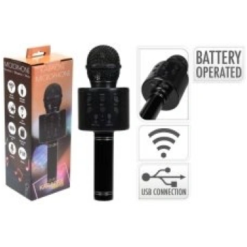 Rotaļlieta Mikrofons ar USB vadu, uz baterijām