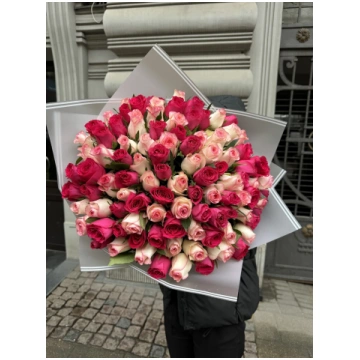 101 gb cerise+ jumilia 40 cm