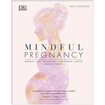 Mindful Pregnancy DK Publishing
