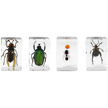 Celestron Microscope sample 3D bug Kit #5