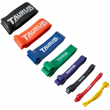 Taurus Fitness Band | Pull-up Band 64 mm | Blue