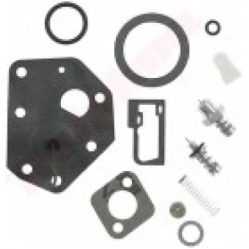 REMONTA KOMPLEKTS KARBURATORA B&S (494622) Dolpinn