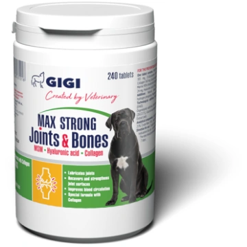 GIGI MAX Strong Joints & Bones N240