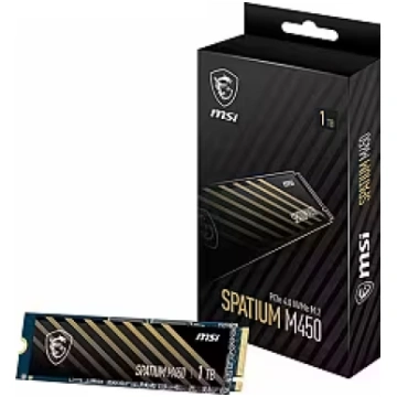 MSI SPATIUM M450, 1TB, M.2 Gen4 x4 (S78-440L0M0-P8
