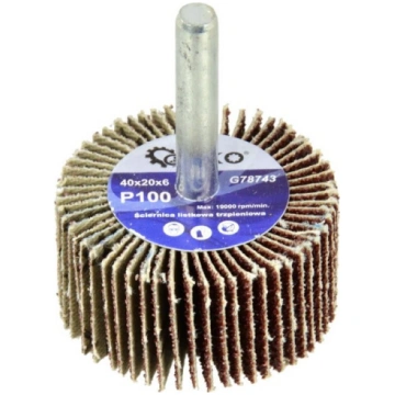 Slīpripas disks P100, 40x20mm, 6mm kāts, G78743, G