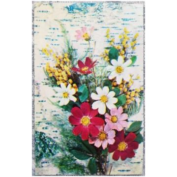 "Apsveicu!" 1975 Kosmoss un mimoza 9x14 cm PSRS pa