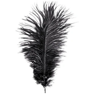 Strausu spalvas 30-35cm