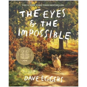 Eyes and the Impossible Dave Eggers