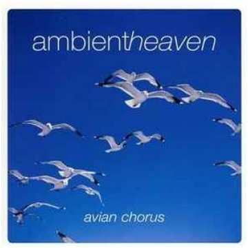 Lietots - CD Clive Lendich - Ambient Heaven - Avia