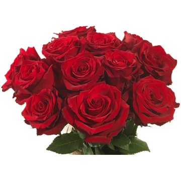 Mazzo di rose Colombiane giganti Flowers Palermo