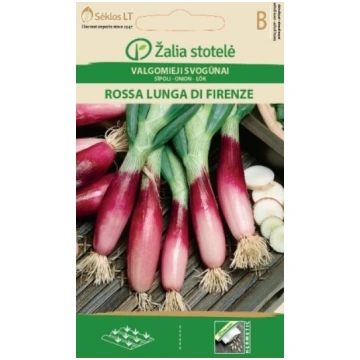 Sīpoli loku ROSSA LUNGA DI FIRENZE 2g