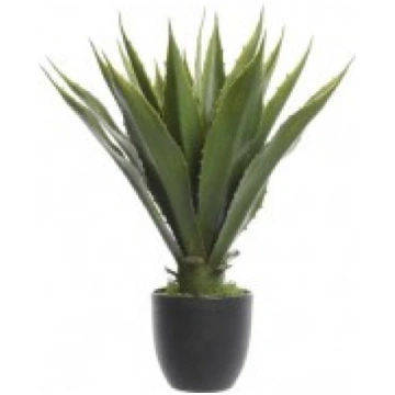 MĀKSLĪGAIS AUGS, AGAVE 800796 55 CM KAEMINGK