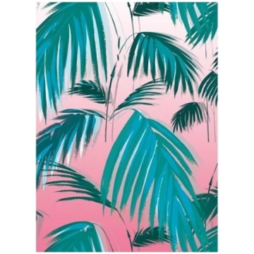 Museums & Galleries Karnet B6 z kopert Sunset Palm