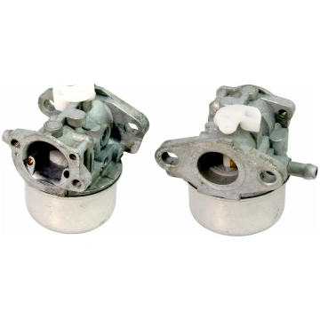 790120 CARBURATORE CON PRIMER BRIGGS & STRATTON IN
