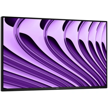 Datora monitors Dell Pro P P2426HEWO 23,8" (60,5 c