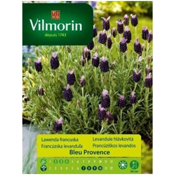 Franču lavanda Bleu Provence 300 mg Vilmorin 10/20