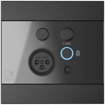 AUDAC WP225/B Wall Panel, XLR mic + 3.5 mm jack, B