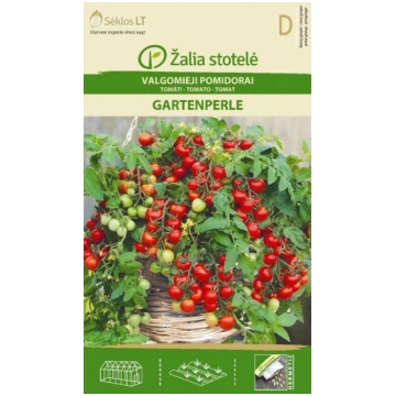 Ēdami tomāti Gartenperle Žalia stotelė