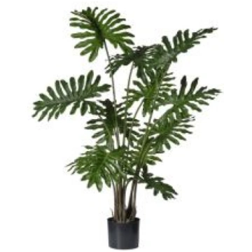Mākslīgais Philodendron podā, 2PV2770