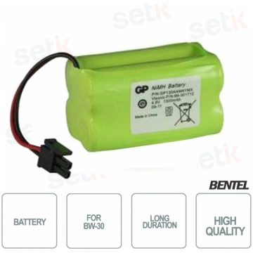 BW-B48K - Battery for Bentel Central BW-30