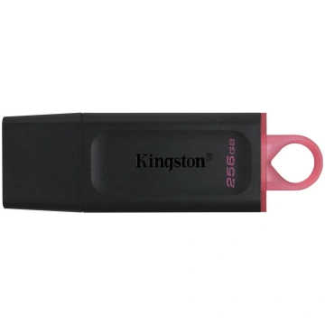 MEMORY DRIVE FLASH USB3.2/256GB DTX/256GB KINGSTON