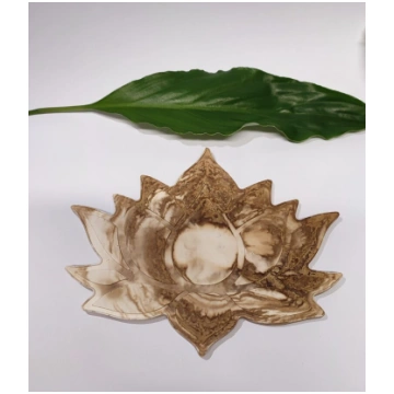 Lotus #brūns #balts Anda Rada