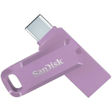 MEMORY DRIVE FLASH USB-C 256GB/SDDDC3-256G-G46L SA