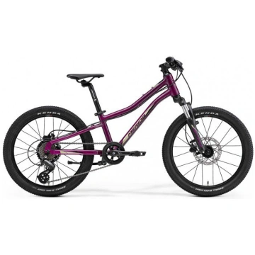 Bērnu velosipēds Merida Matts J.20 purple (black/c