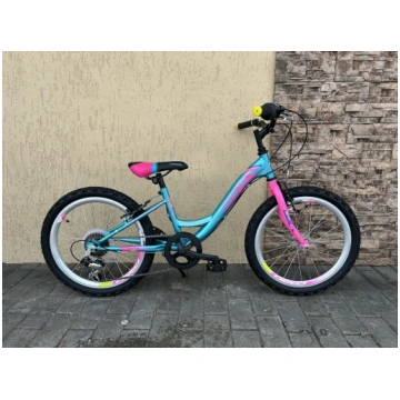 DHS Modesty 20″