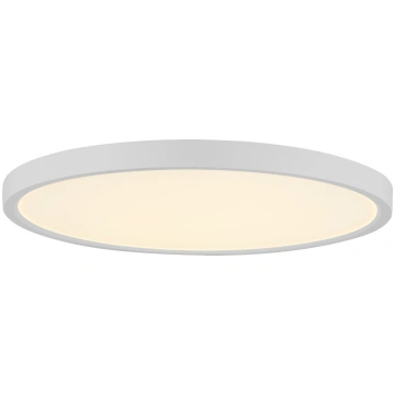 LED plafons SPECTORLIGHT 17665S, 3000-6000K, ar pu