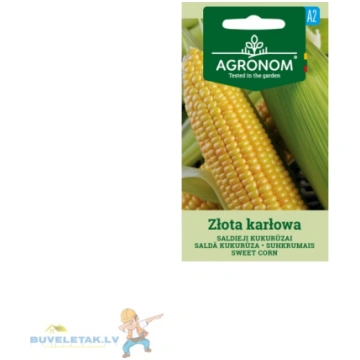 Kukurūza saldā Zlota Karlowa 5g 34571