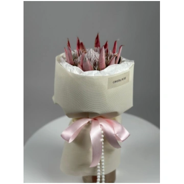 PROTEA