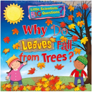 Why Do Leaves Fall From Trees? Bookshop