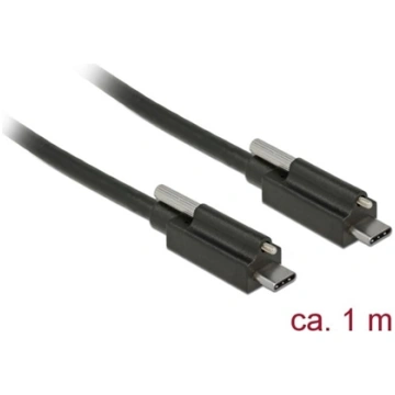 Delock Cable SuperSpeed USB 10 Gbps (USB 3.1 Gen 2