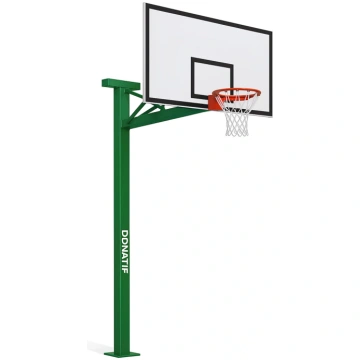 Double Spring Basketball Hoop - COG180 | Professio