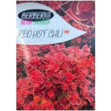 TUNBERGA BĀRBELE RED HOT CHILI PBR KITI UŽSIENIO