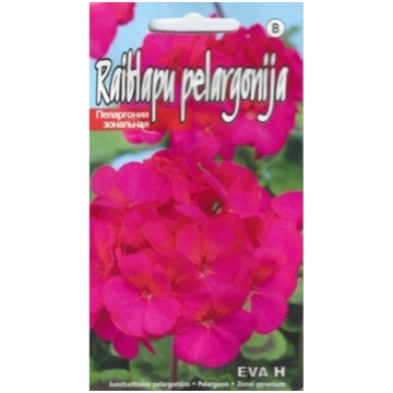 Pelargonijas Eva H raiblapu 5s