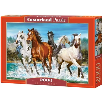 Puzle Castorland Call Of Nature 2000 el. C-200702-