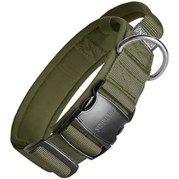 OneTigris Ranger Dog Collar with Metal Buckle Gree