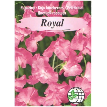 Puķuzirņi Royal rozā AMC 2gr, Agrimatco sērija Lat